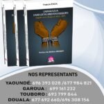 Adamaoua: 11 armes et 1441 munitions récupérées par le 5e BIR