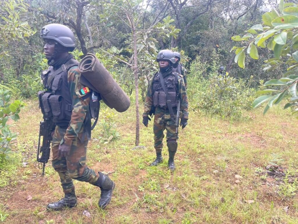 Cameroun: Le BIR neutralise 03 malfrats dans la région du Nord