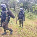 Cameroun: Le BIR neutralise 03 malfrats dans la région du Nord