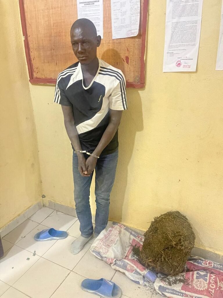 Cameroun : Des éléments des forces de sécurité et de défense impliqués dans le trafic de drogue.