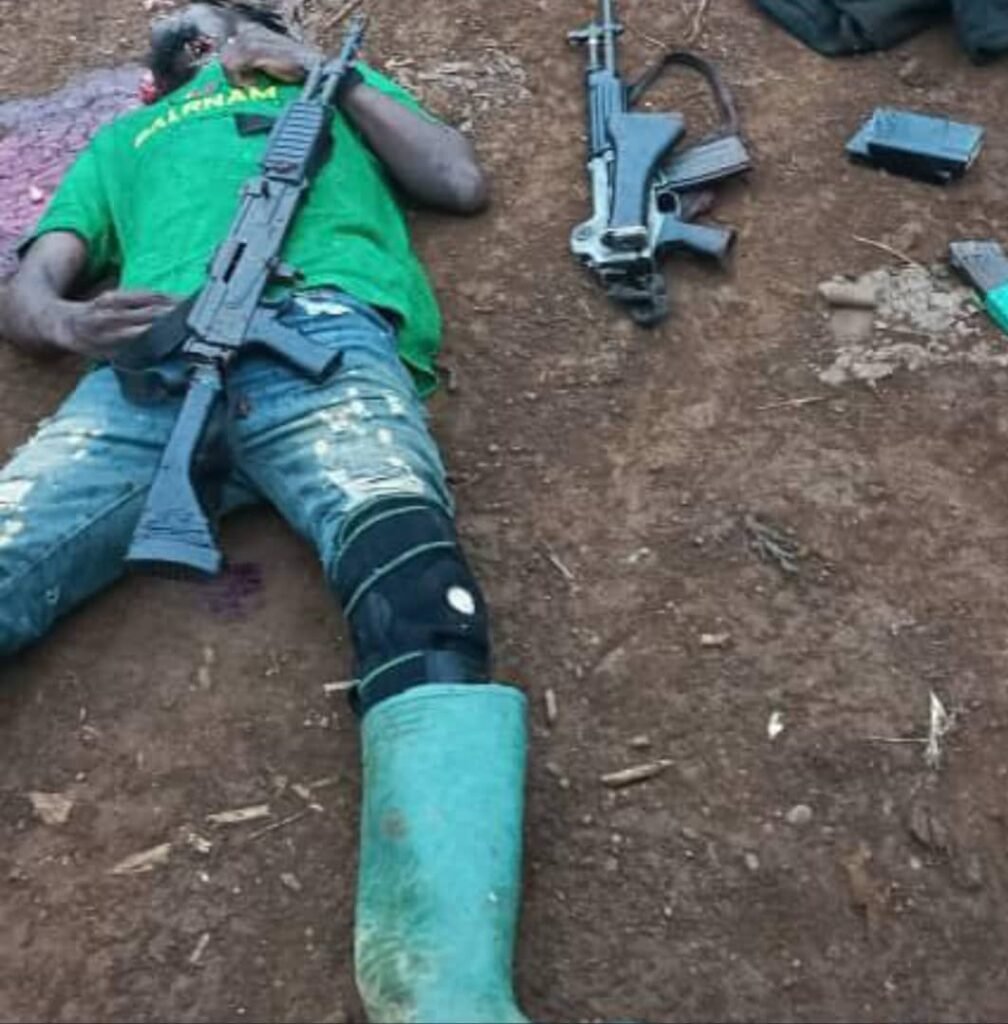 Cameroun: 02 ambazoniens abattus par l’armée