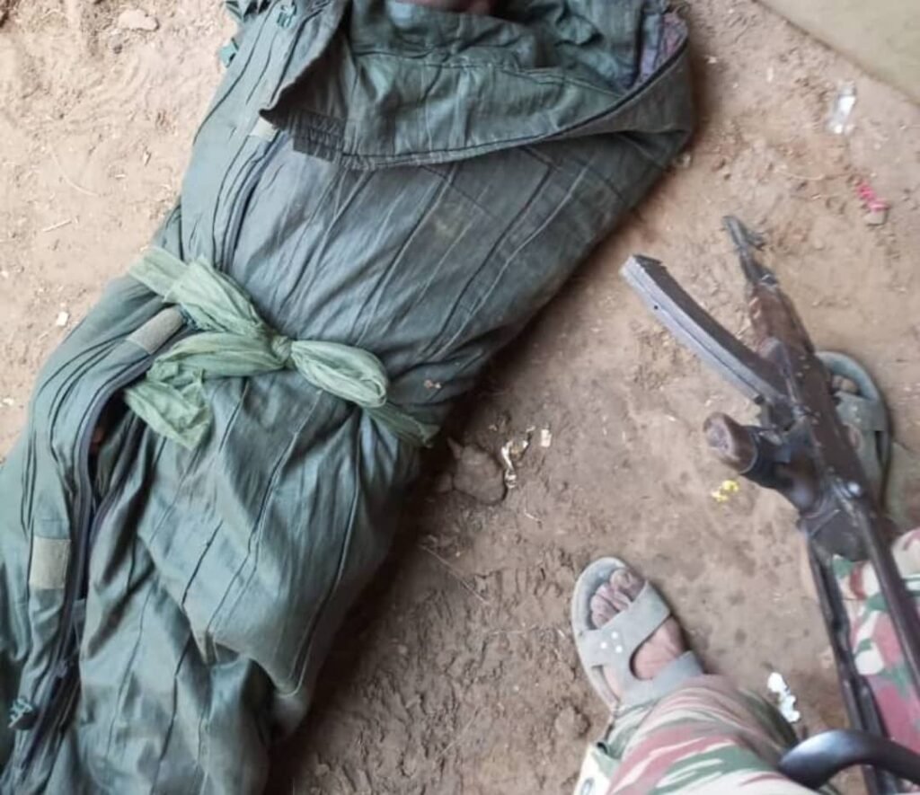 Cameroun : 03 militaires tués à Hilé Alifa