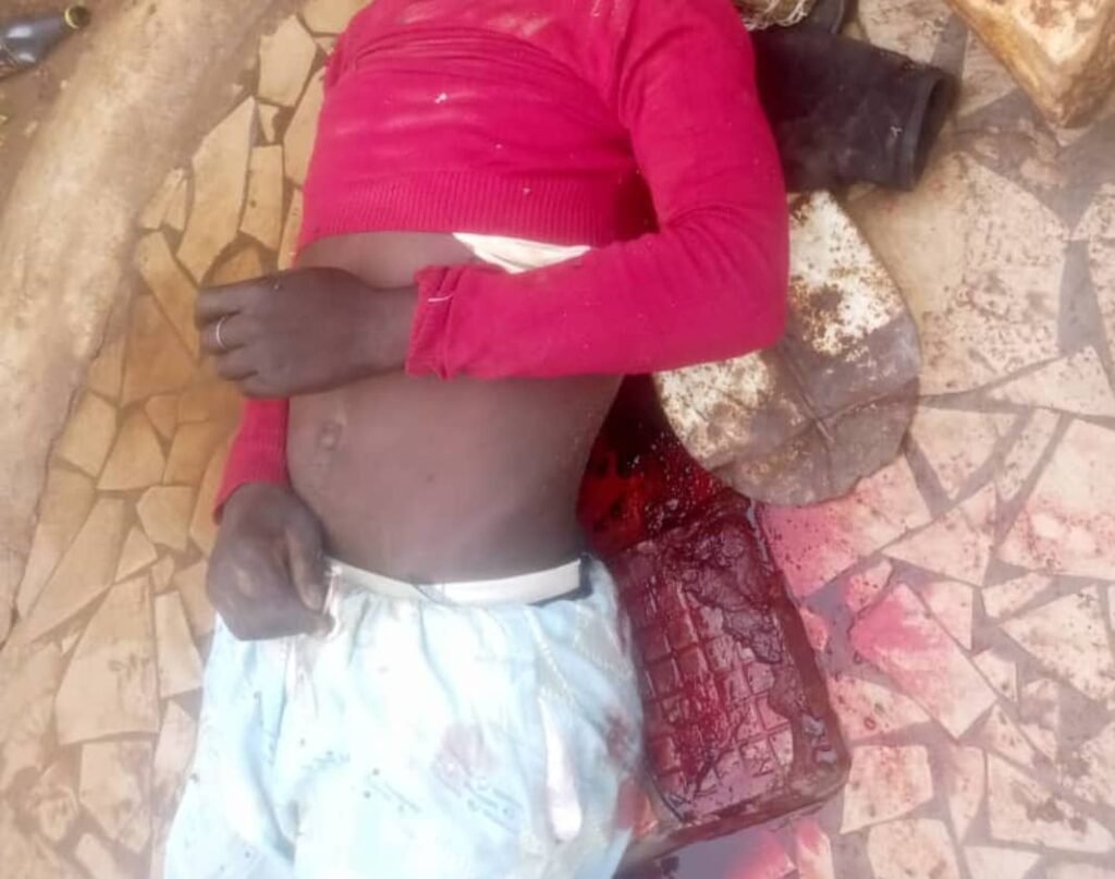 Cameroun : Un civil tué et un gendarme blessé lors d’une attaque de Boko Haram à Korsamba