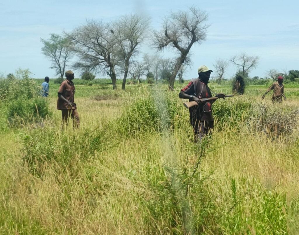 Cameroun : 69 personnes tuées par Boko Haram en 03 mois
