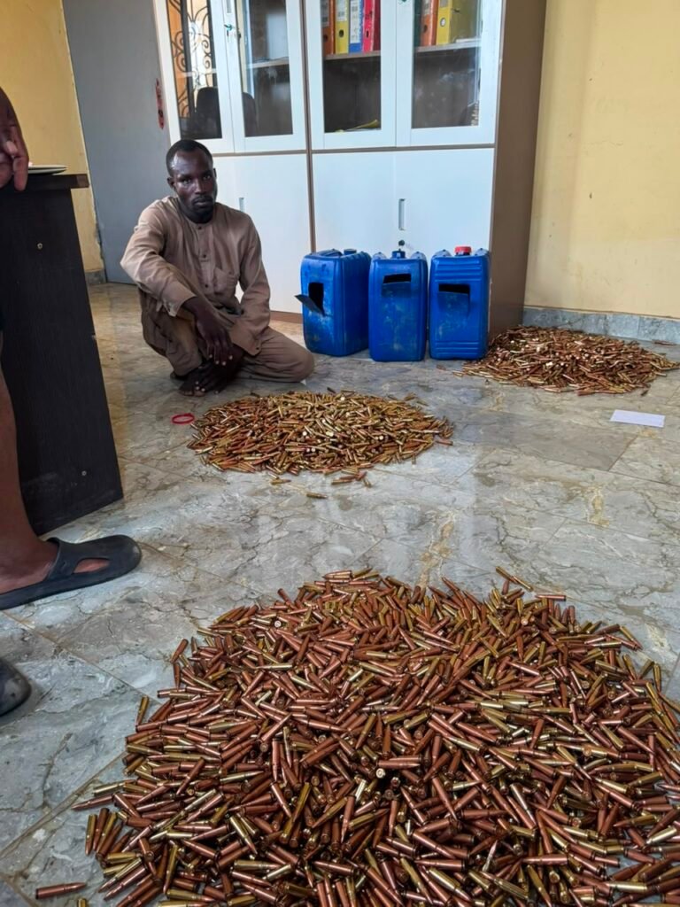 Cameroun : La gendarmerie a saisi 7.412 munitions à Hilé-Alifa