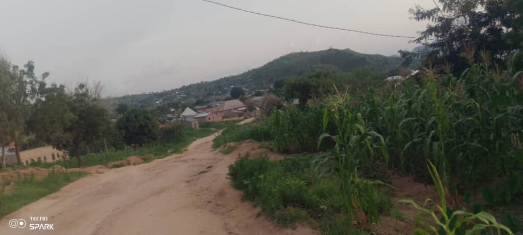 Cameroun : Les terroristes de Boko Haram pillent deux villages